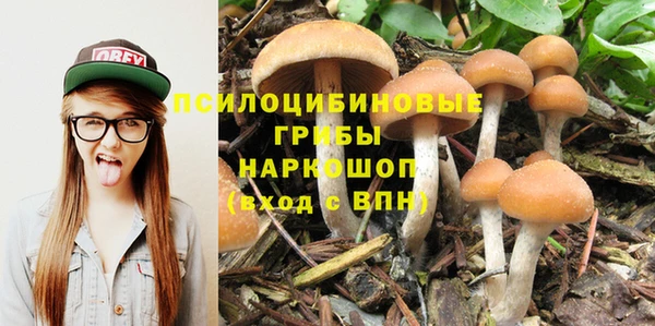 а пвп мука Ладушкин