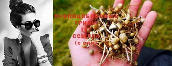 стафф Лагань